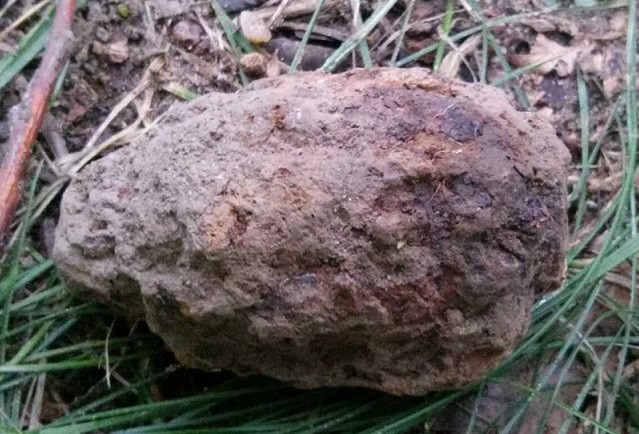 pocisk niewybuch granat