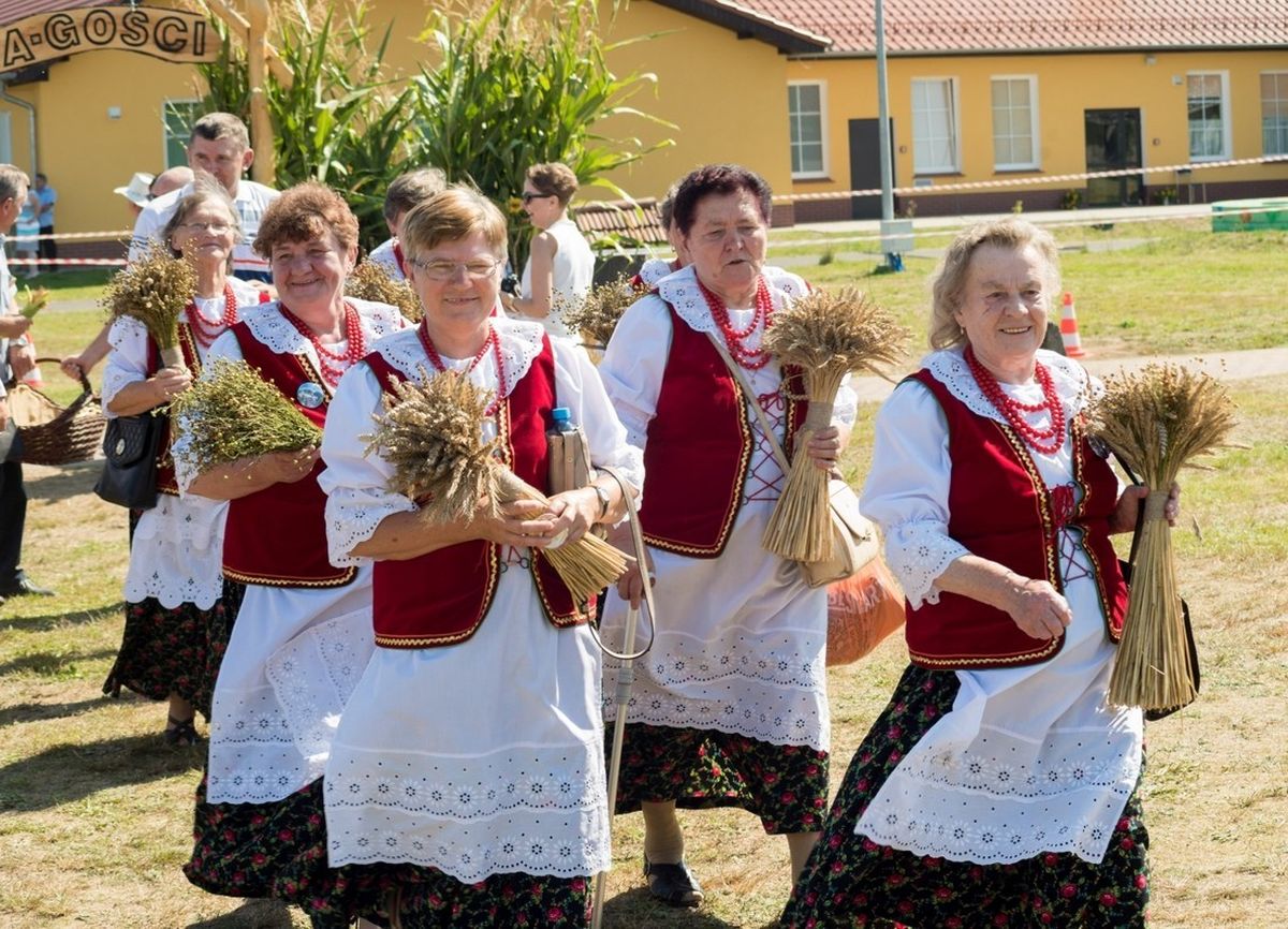 dożynki  brzeźnik