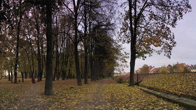 stary cmentarz ewangelicki