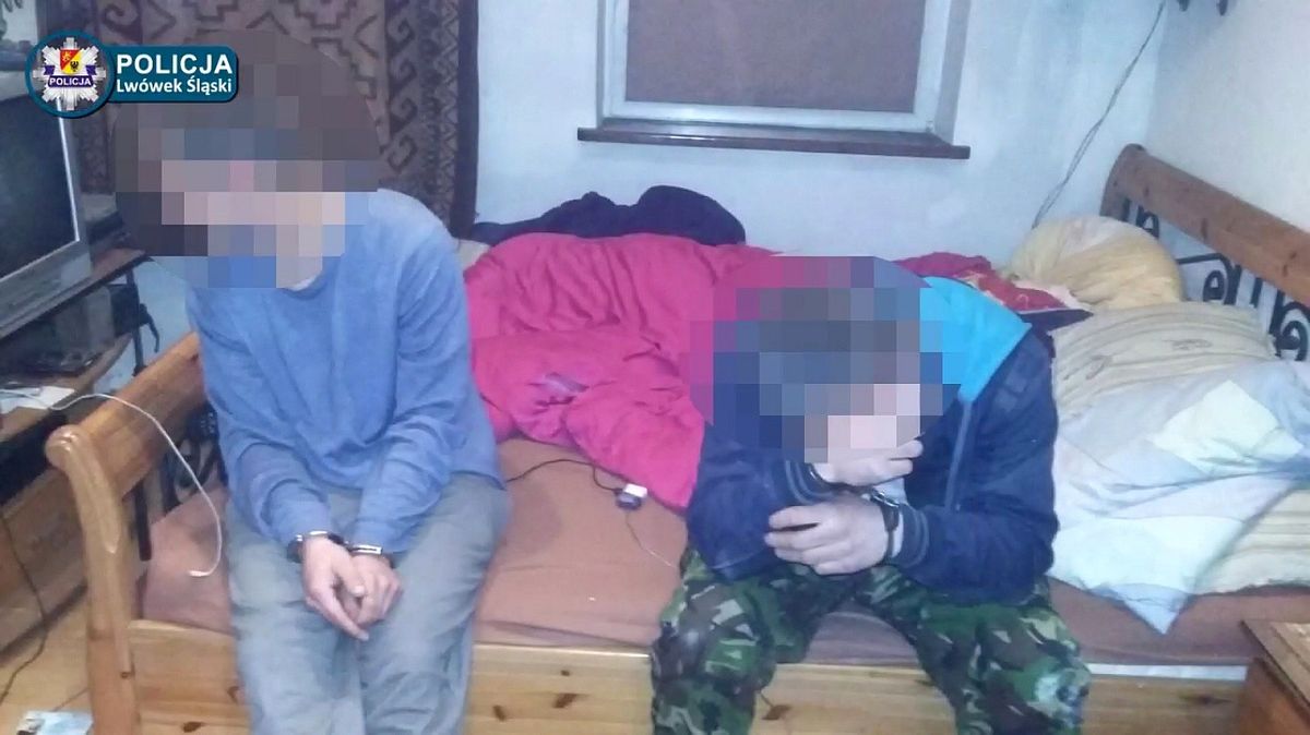 zatrzymanie  policja  lwówek śląski