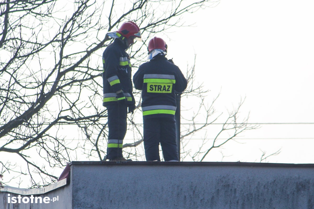 straż  spacerowa  akcja