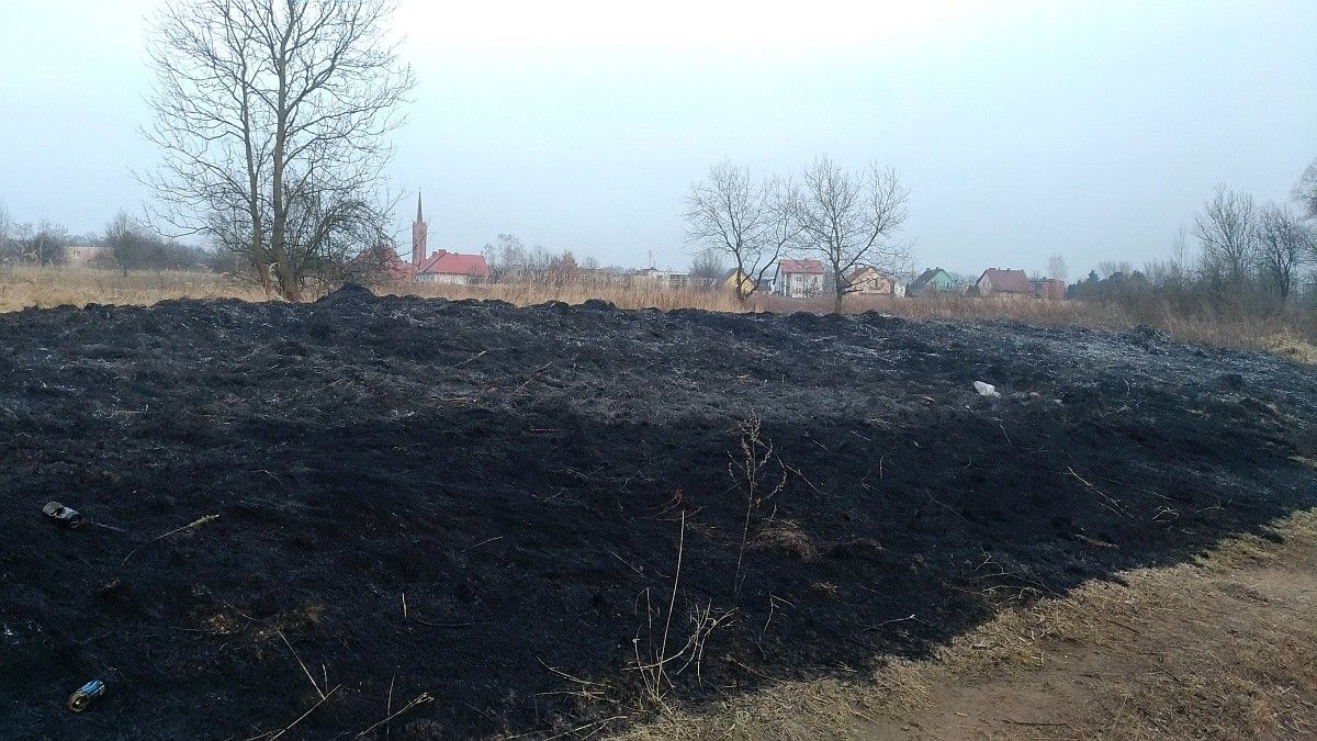 pożar trawy