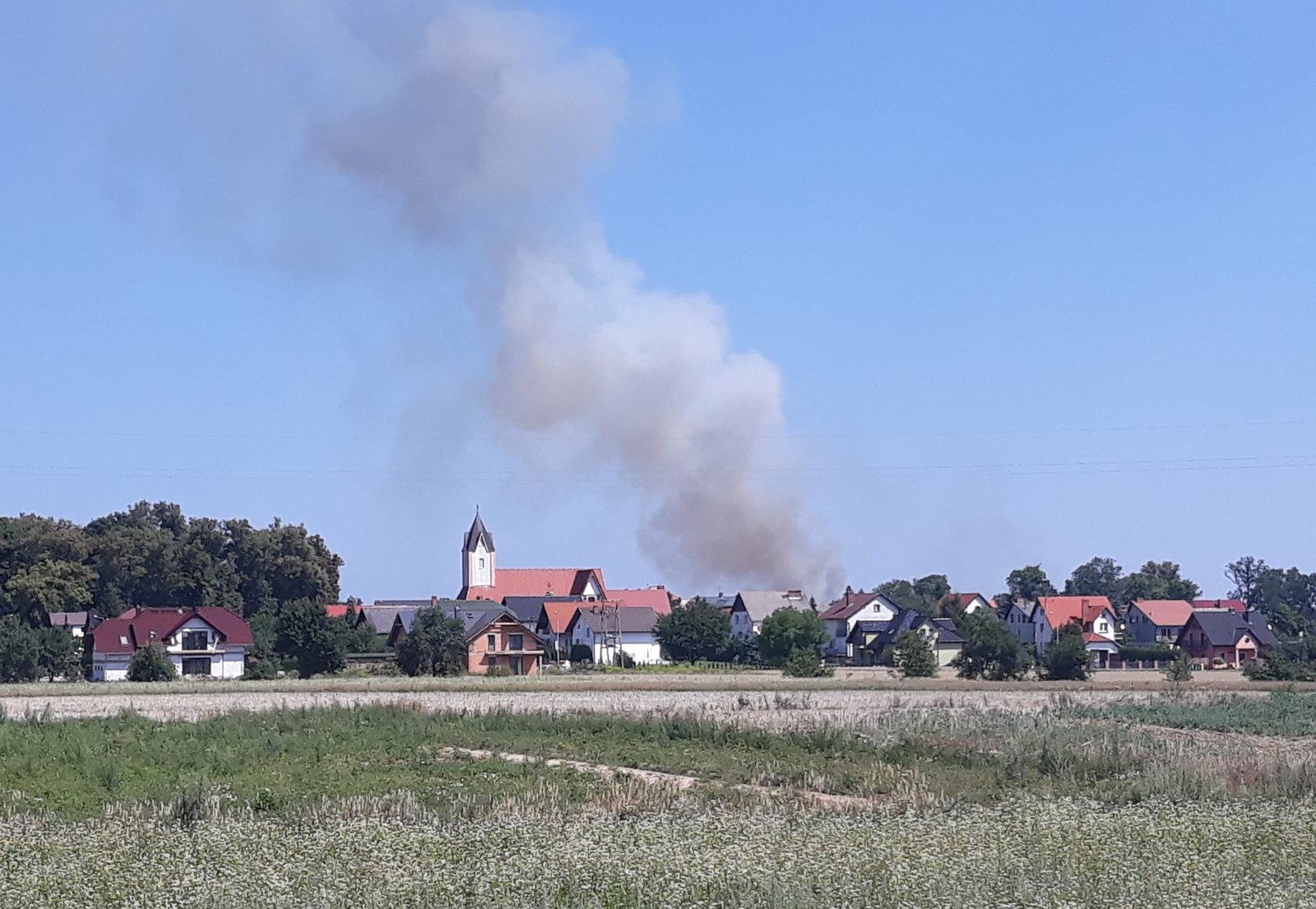 pożar ściernisko kruszyn
