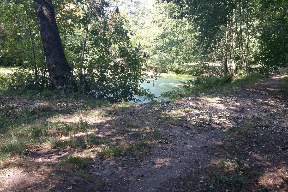 ścieżka