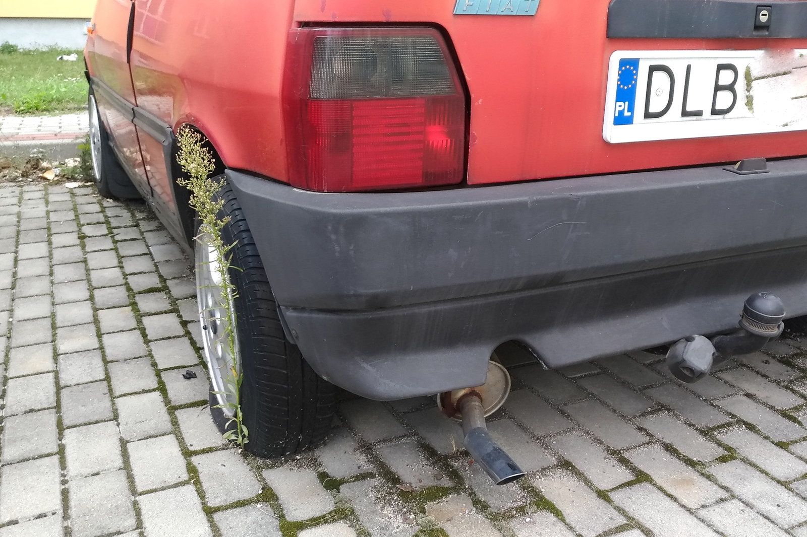 fiat uno
