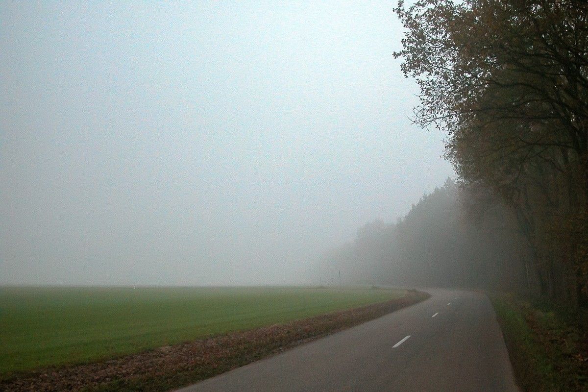mgła