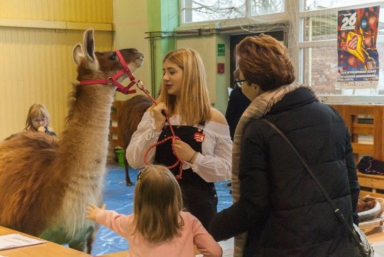 uczeń lama