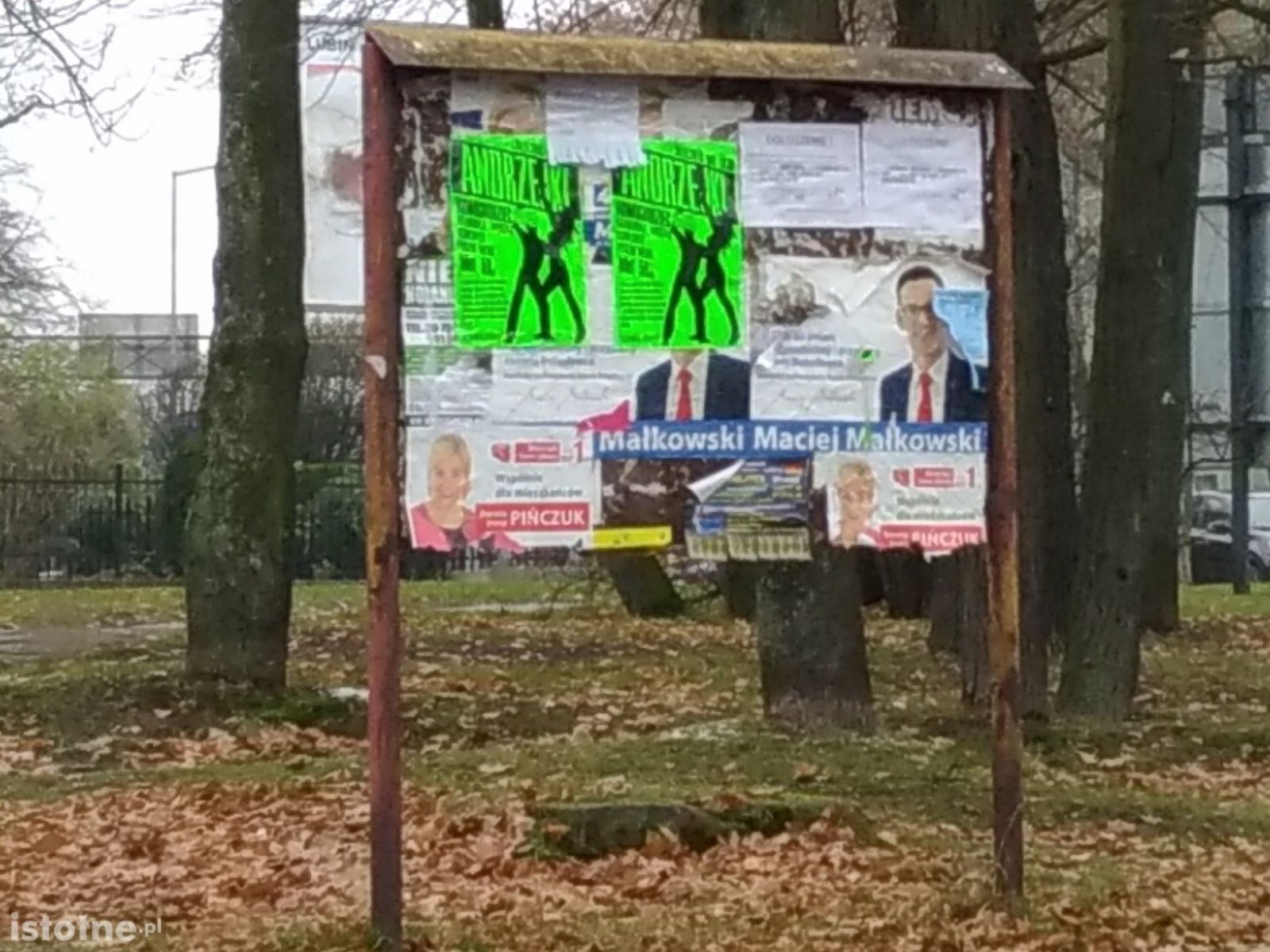 plakat