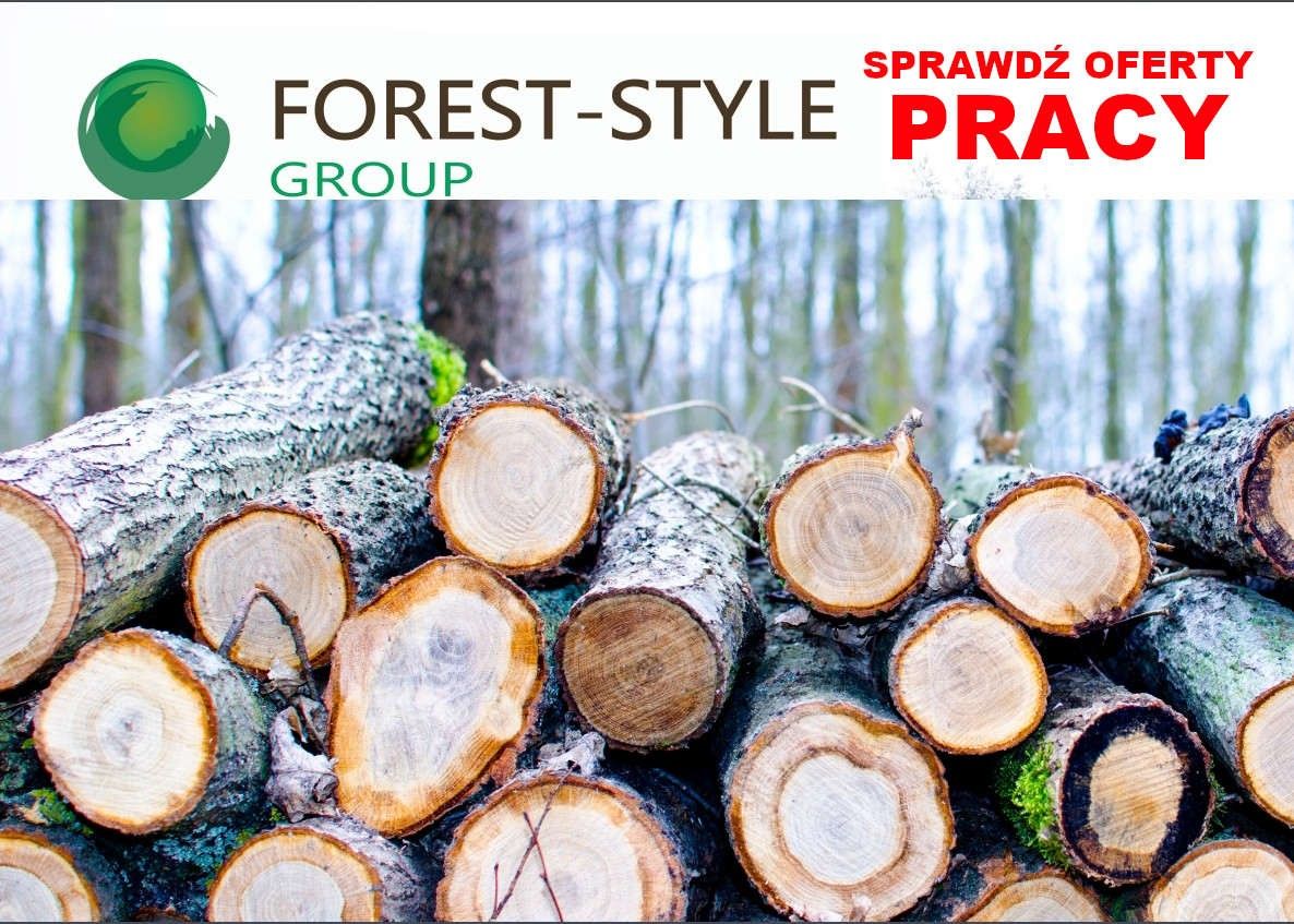 forest style praca