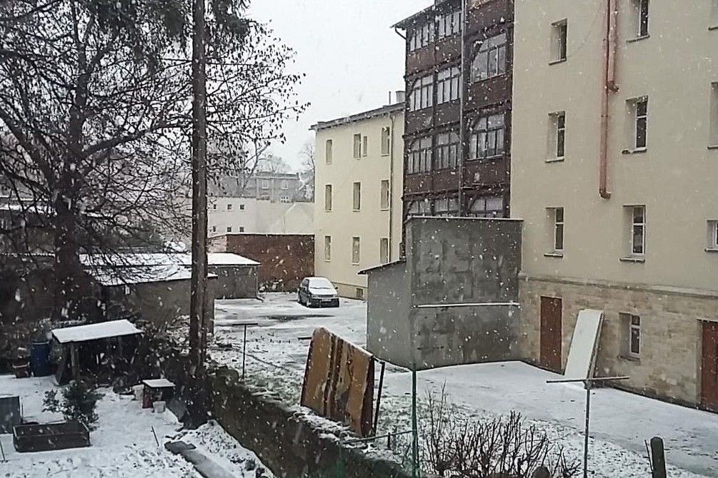 śnieg