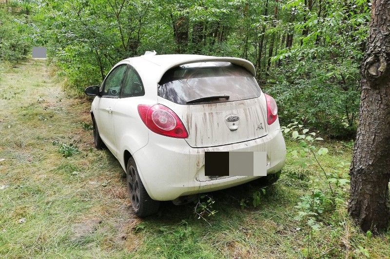 auto