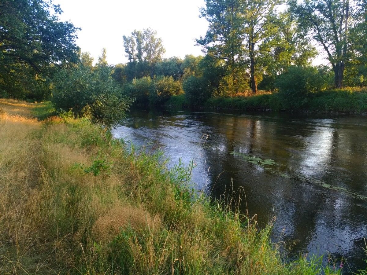 rzeka bóbr