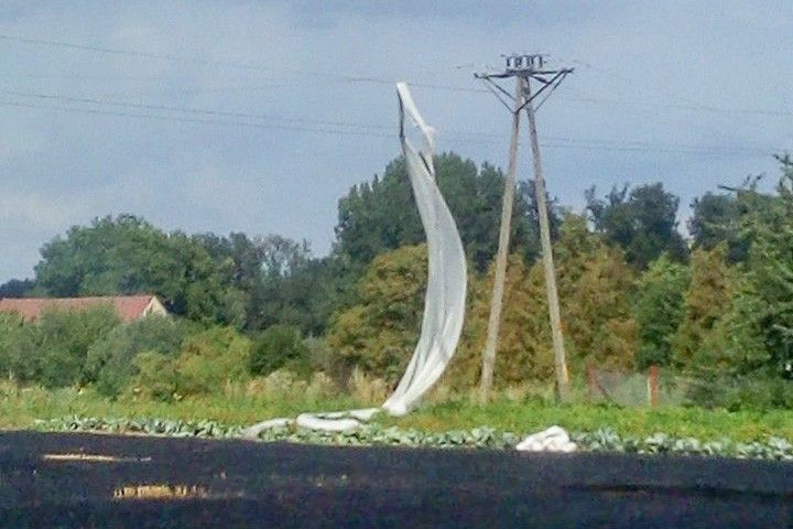 agrowłóknina