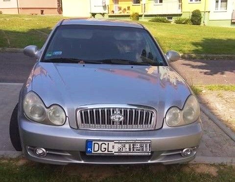 auto napad gryfów śląski