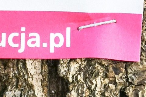 informacja drzewo