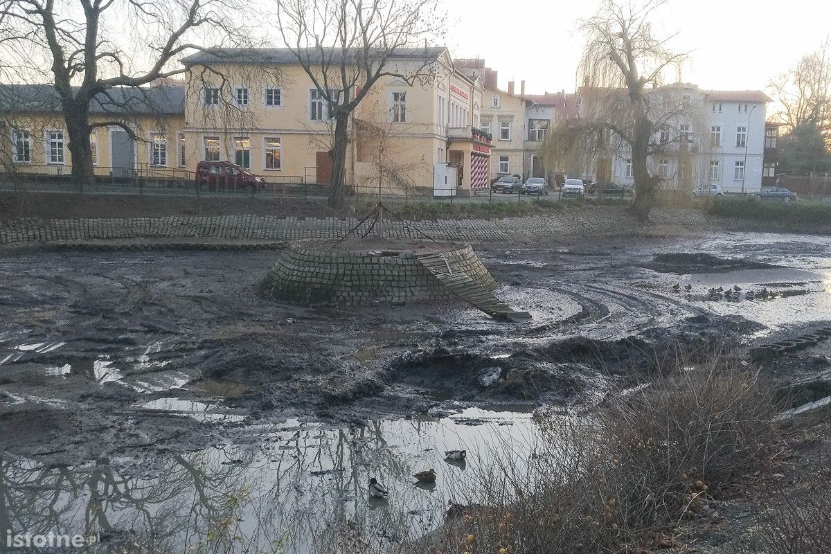 staw miejski