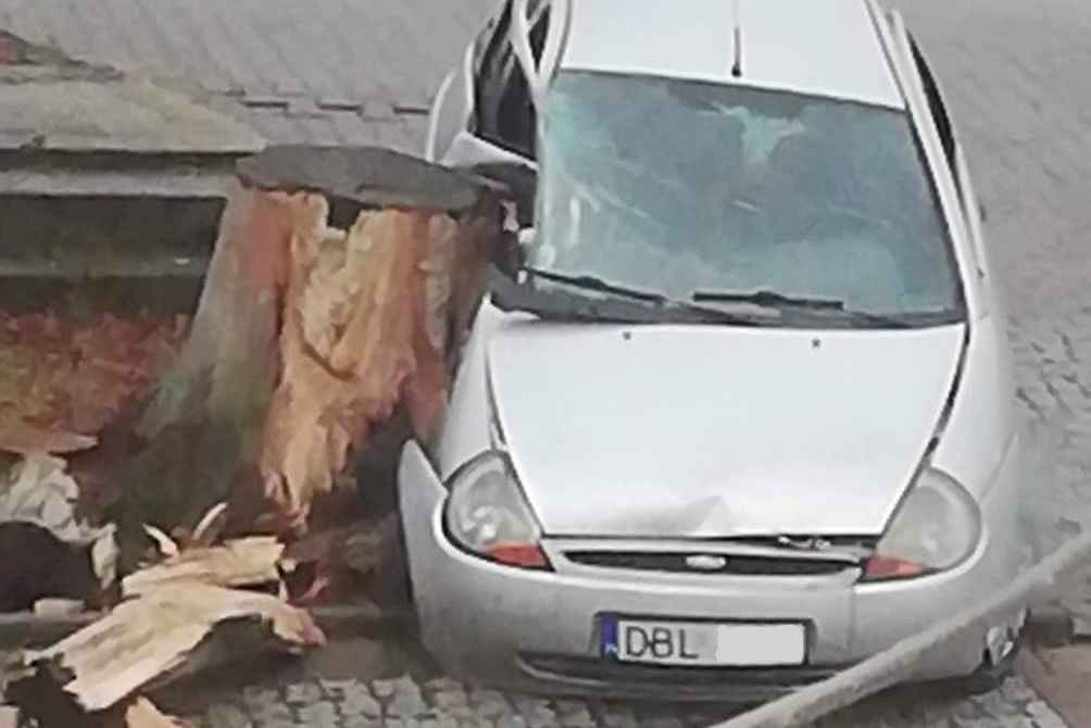 auto