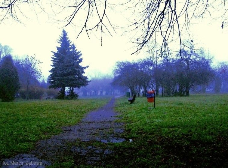 park ławka