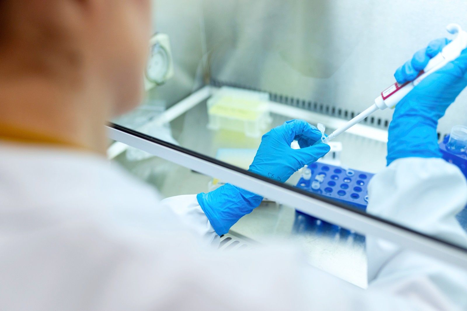 test koronawirus laboratorium