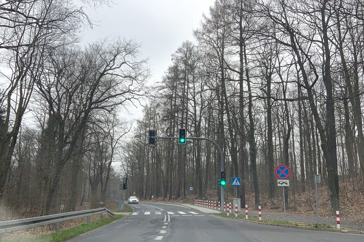 światła leśny potok