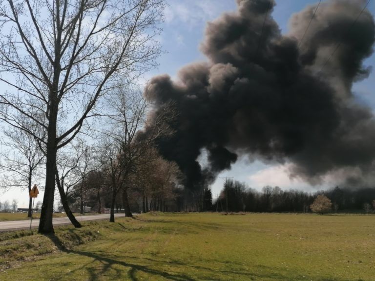 pożar gryfów odpady