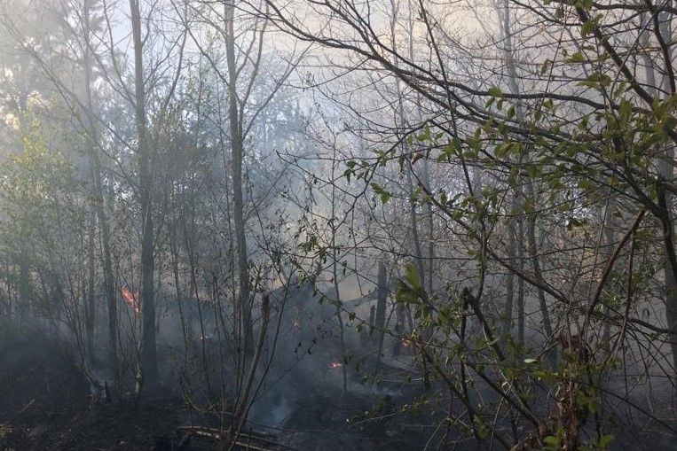 forest fire Iwiny