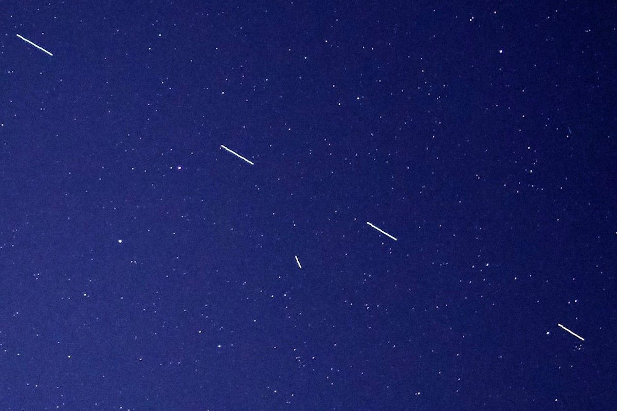 satelita starlink