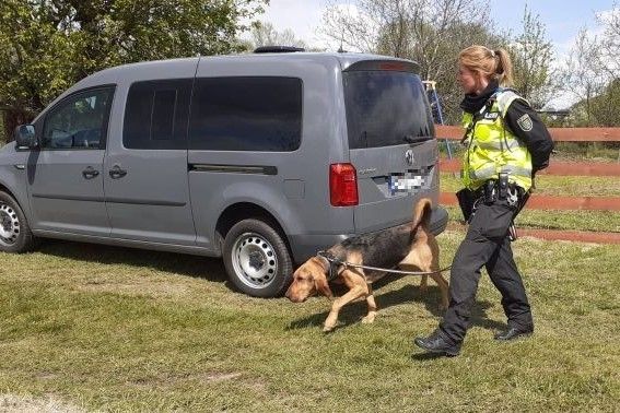 policjantka pies