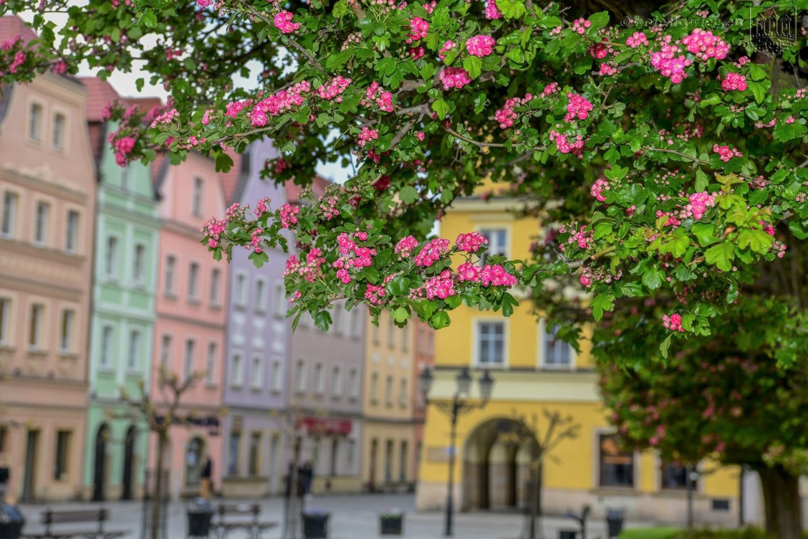 Rynek