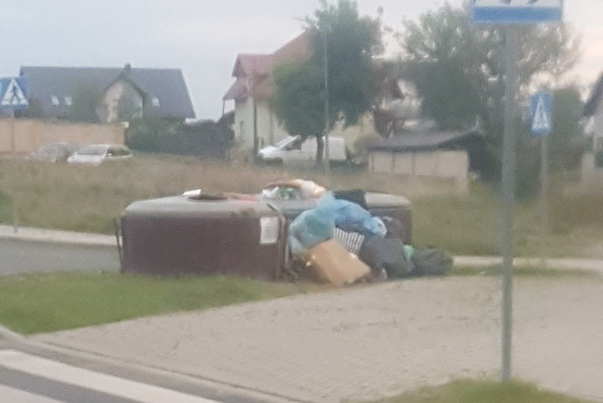 śmietnik
