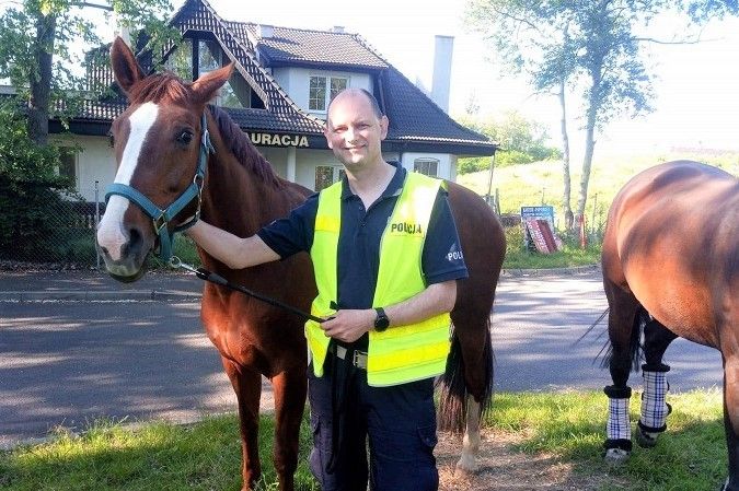 policjant koń