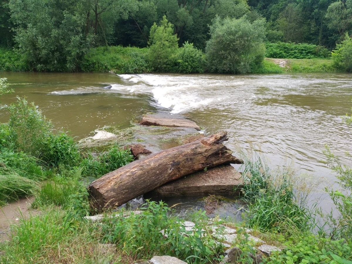 bóbr rzeka deszcze