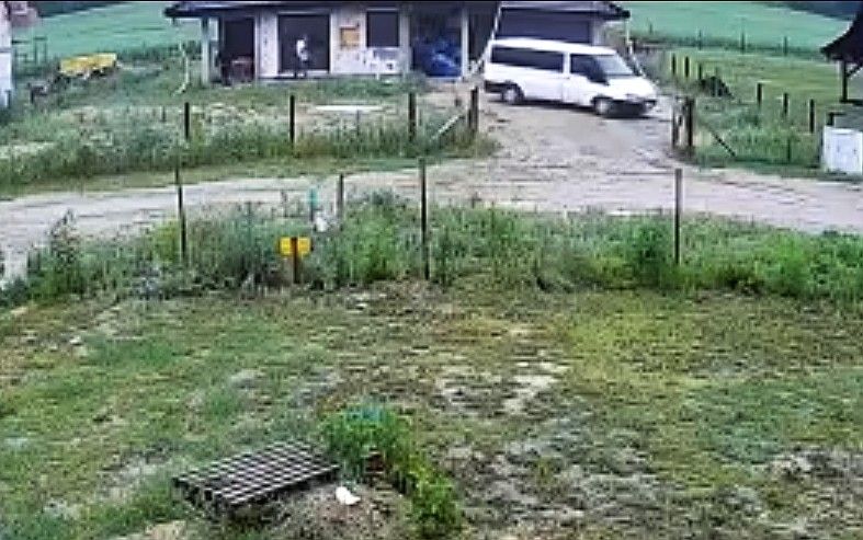 iwiny kradzież