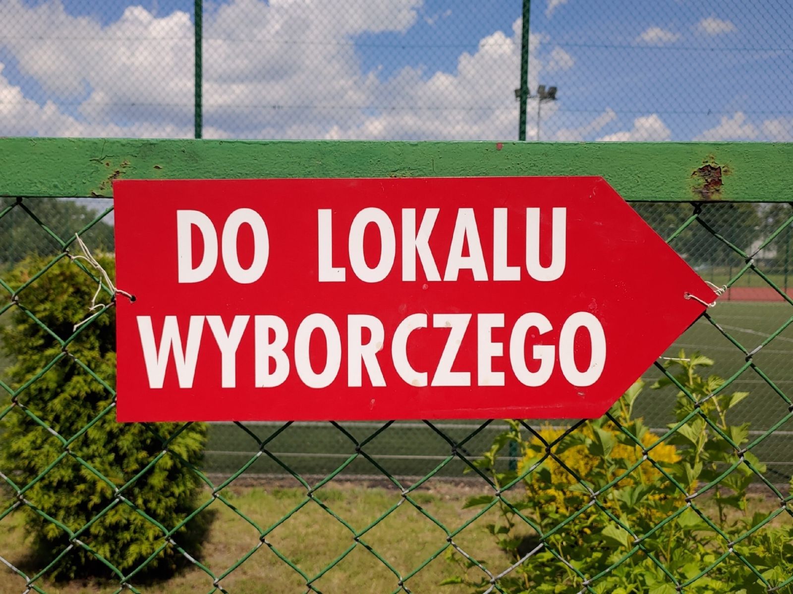 Wybory