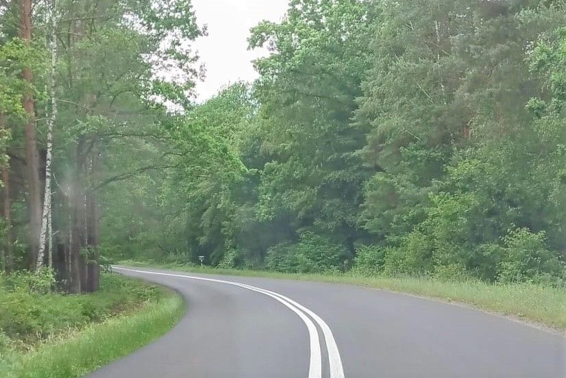 Chaszcze