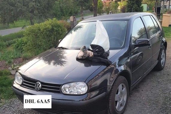 auto