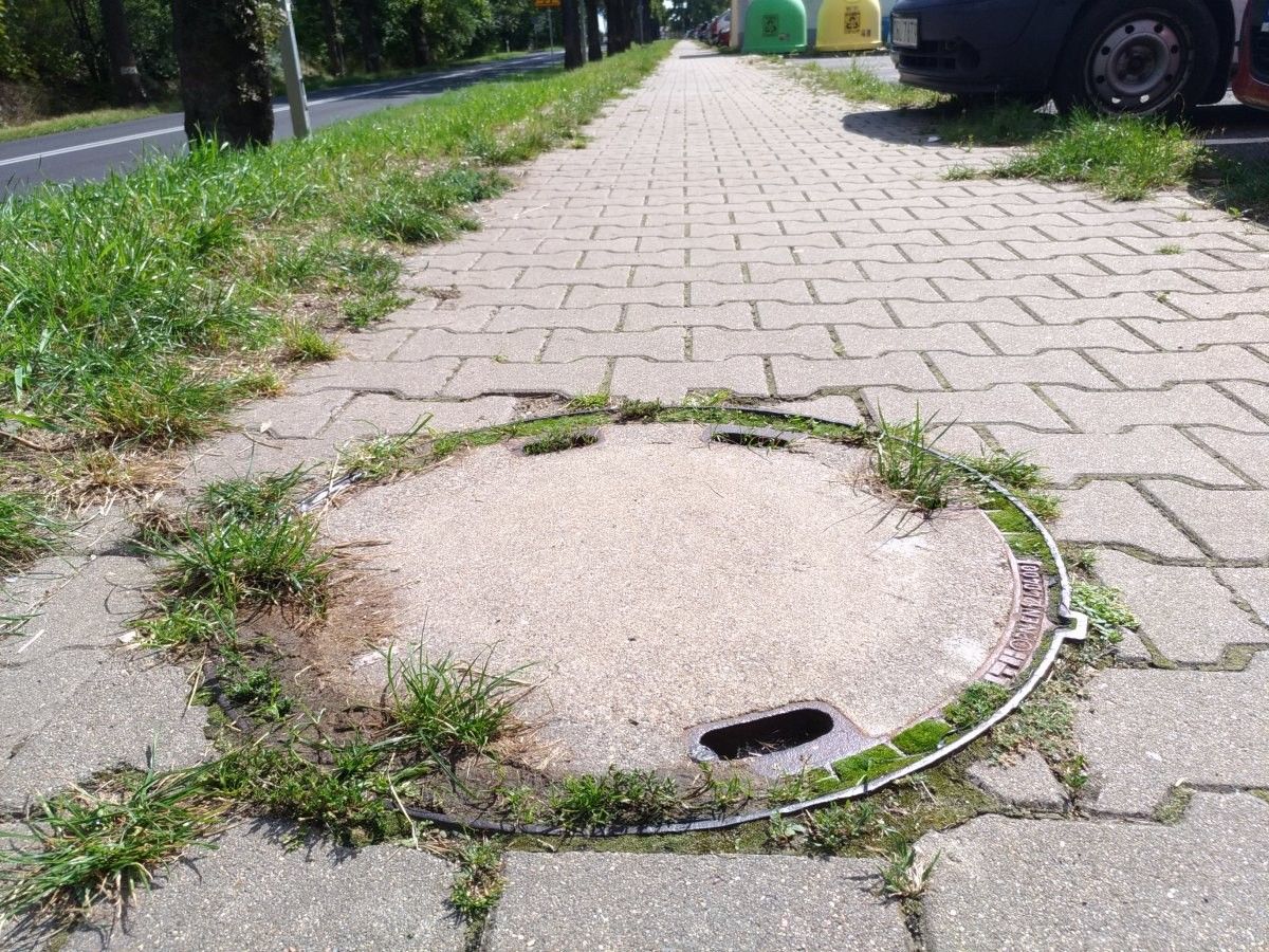 właz kanalizacja fetor