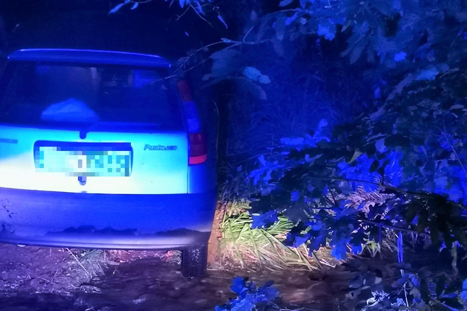 auto