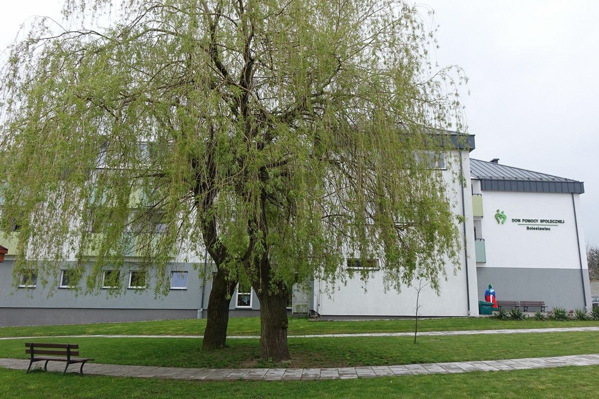 DPS Bolesławiec