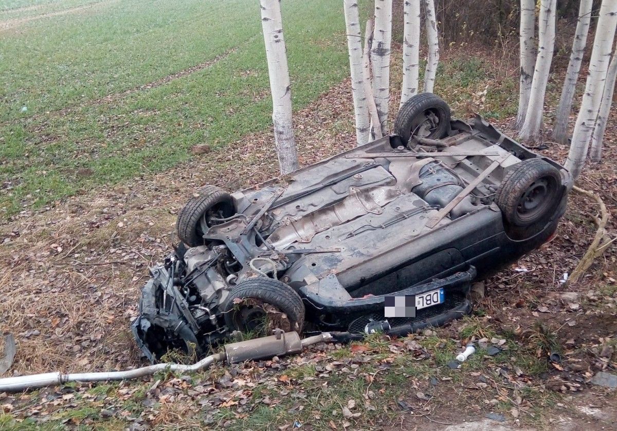 auto dachowanie lubków