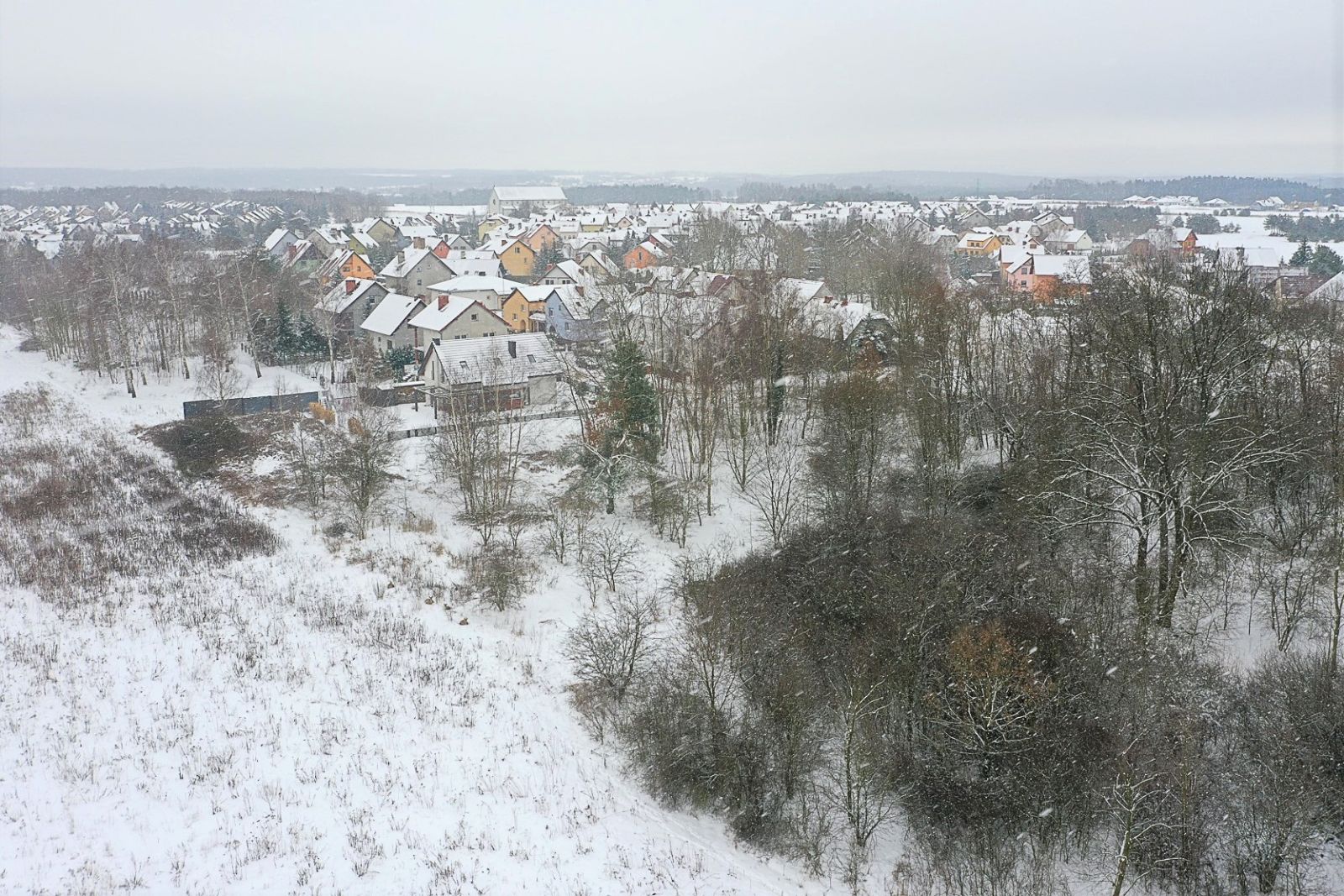 ul. sosnowa