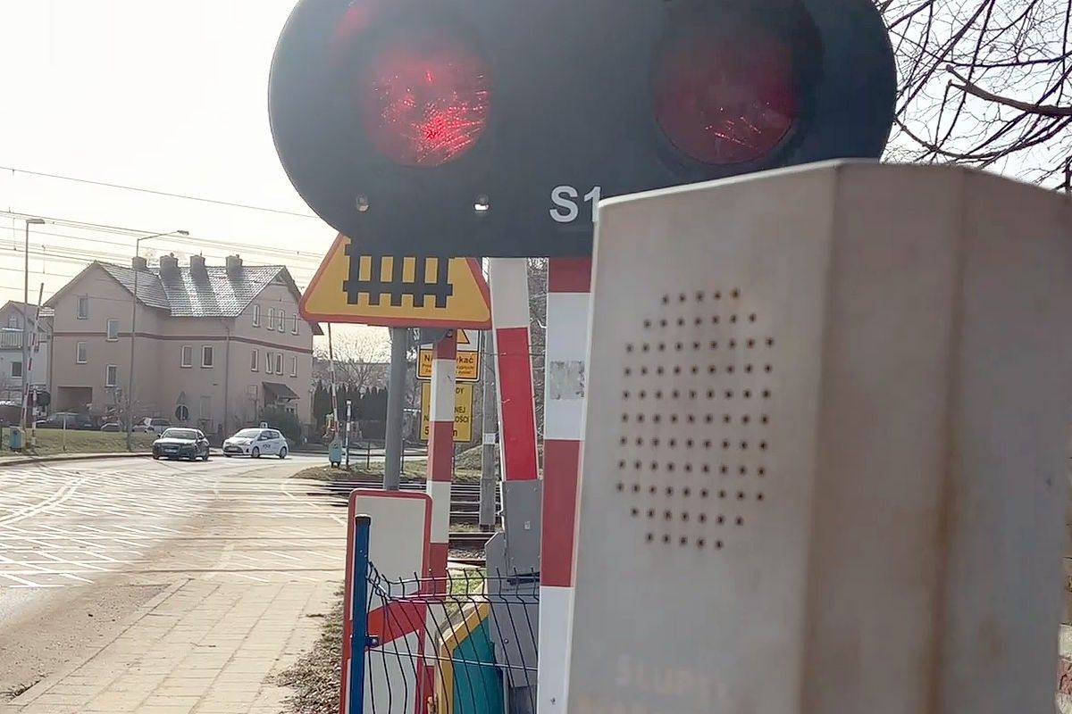 światła