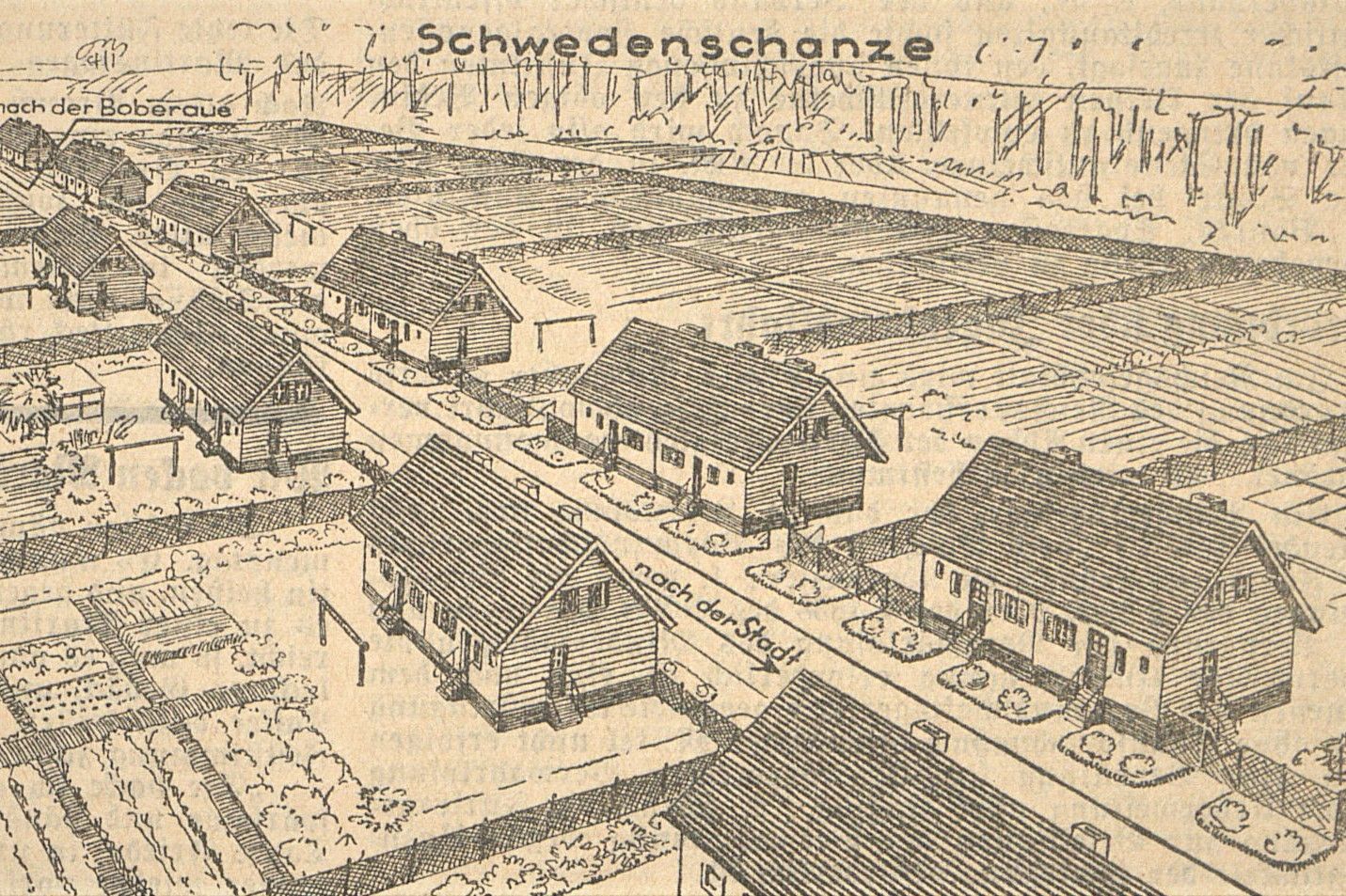 projekt
