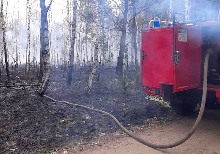 pożar las wierzbowa