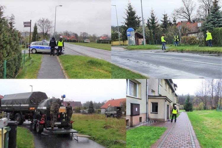 policja