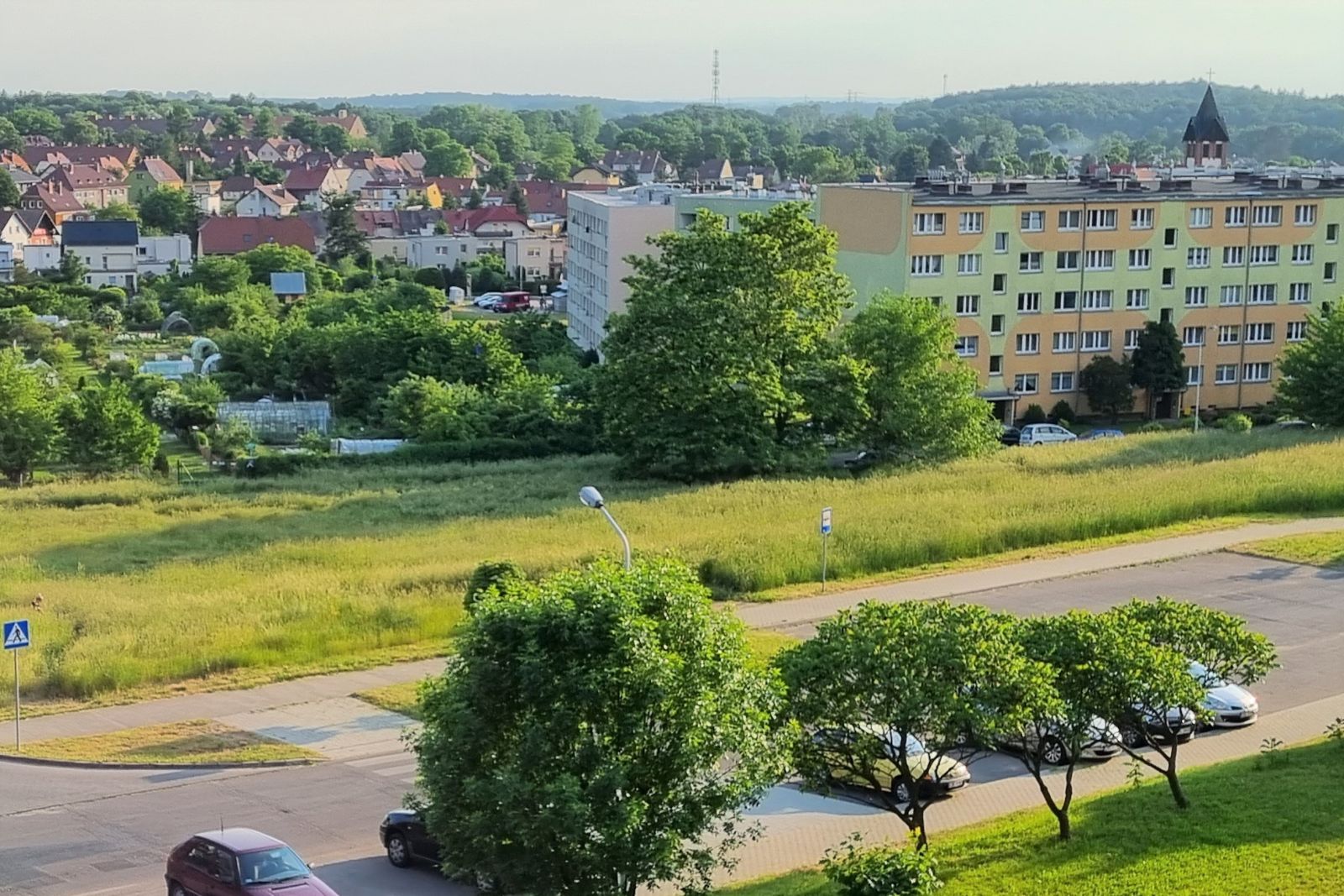 chaszcze