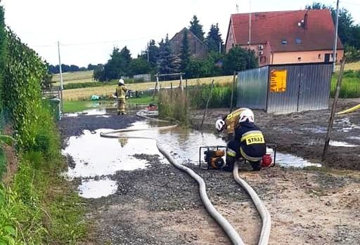 akcja tomaszów bolesławiecki