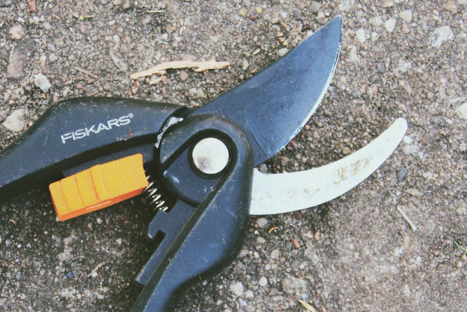 sekator