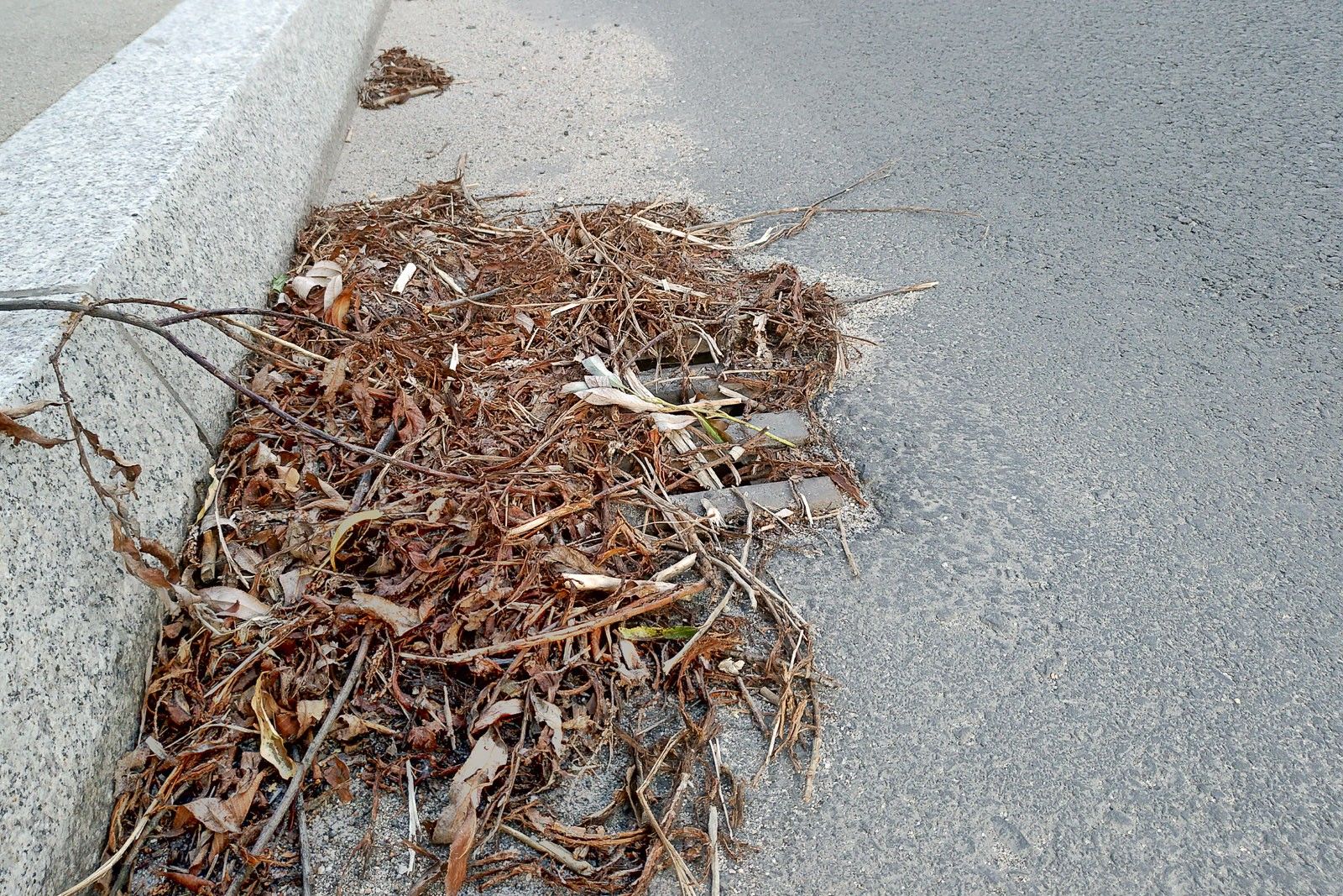 kratka ścieki gałęzie
