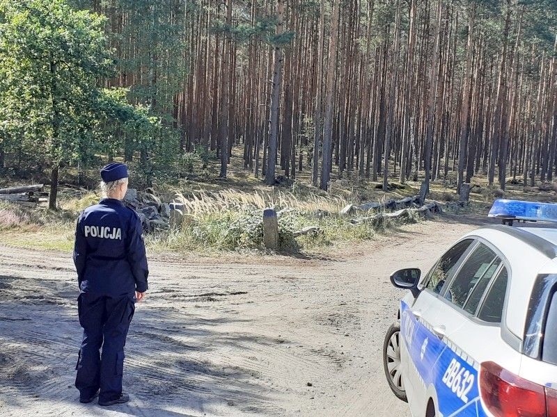 policja radiowóz las